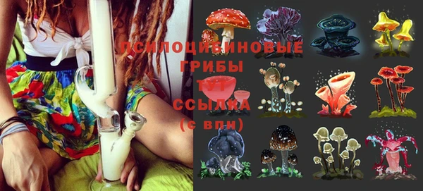 СК Алексеевка
