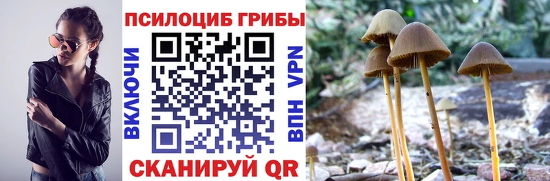 Галлюциногенные грибы GOLDEN TEACHER  продажа наркотиков  Староминская 